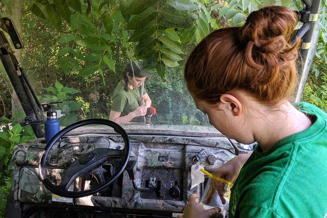 A student bags a soil sample in an ATV surrounded by trees as another students collects another sample in front of the ATV